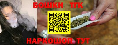 индика Дмитров