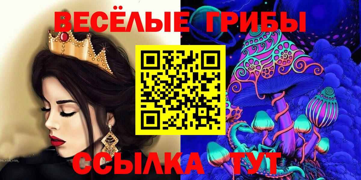 Галлюциногенные грибы Cubensis  наркотики  Богданович  Вход с VPN 