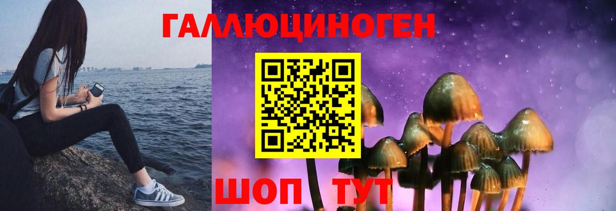 Псилоцибиновые грибы прущие грибы Богданович