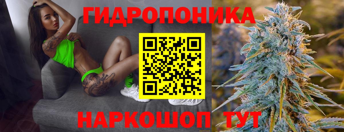 Каннабис семена Богданович